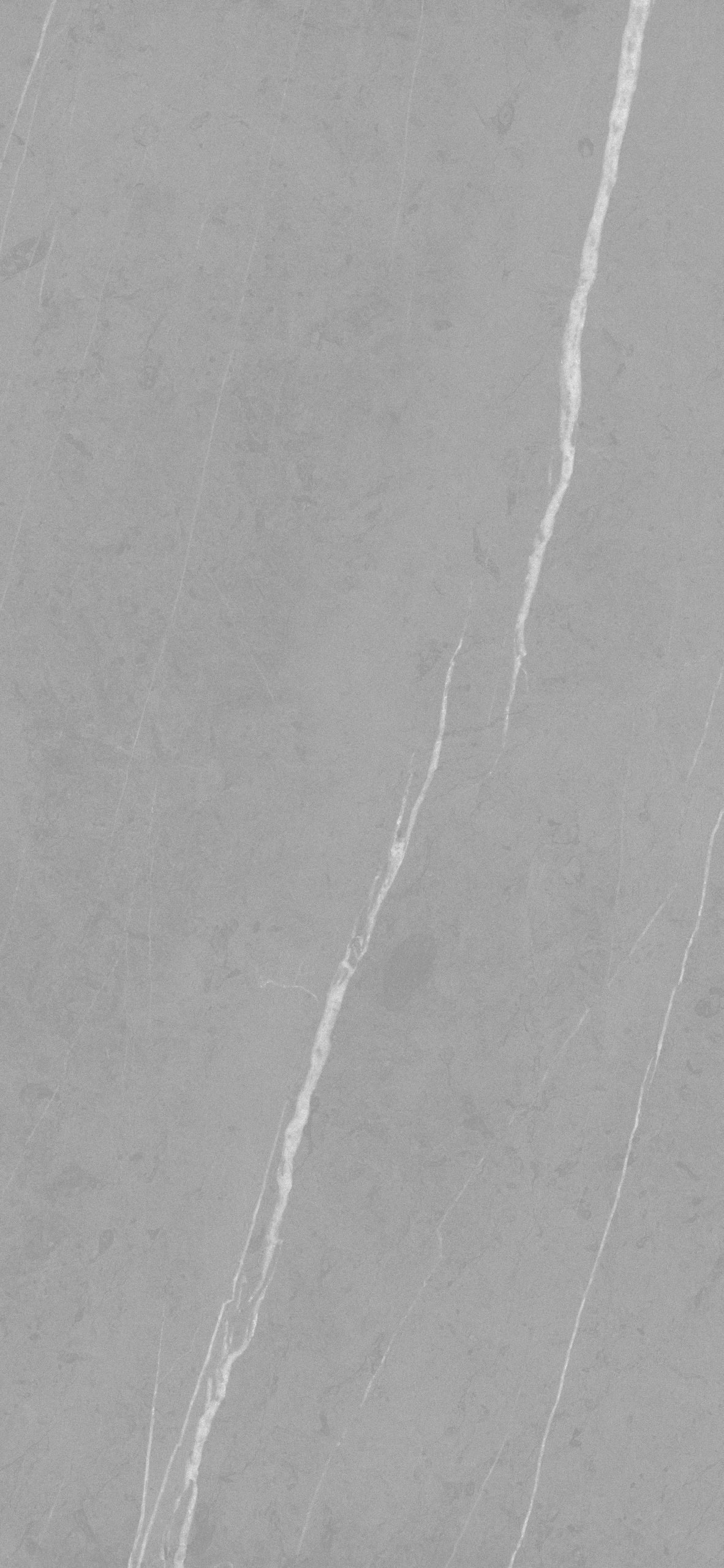 DEZZLING (light gray)